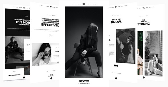 Nextox艺术家和创意设计摄影作品WordPress主题V1.0 Nextox艺术家和创意设计摄影作品WordPress主题V1.0