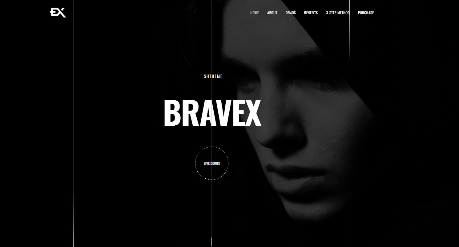 Bravex创意全屏作品集WordPress主题V1.0.1 Bravex创意全屏作品集WordPress主题V1.0.1