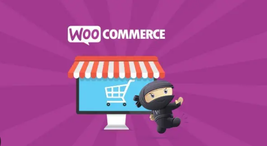 WooCommerce PayPal Advanced高级贝宝支付插件V1.24.12 WooCommerce PayPal Advanced高级贝宝支付插件V1.24.12