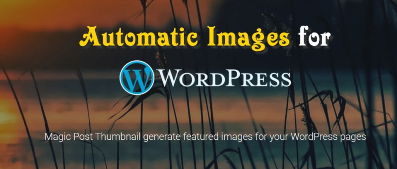 Magic Post Thumbnail Pro自动生成文章缩略图WordPress插件 - 图片1 Magic Post Thumbnail Pro自动生成文章缩略图WordPress插件 - 图片1