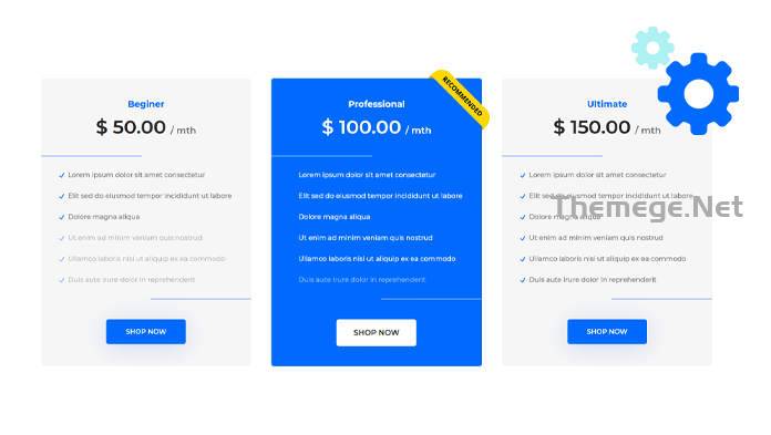 Divi Ecommerce Pro破解版V1.0.10 Divi跨境电商网站子主题 - 图片2 Divi Ecommerce Pro破解版V1.0.10 Divi跨境电商网站子主题 - 图片2