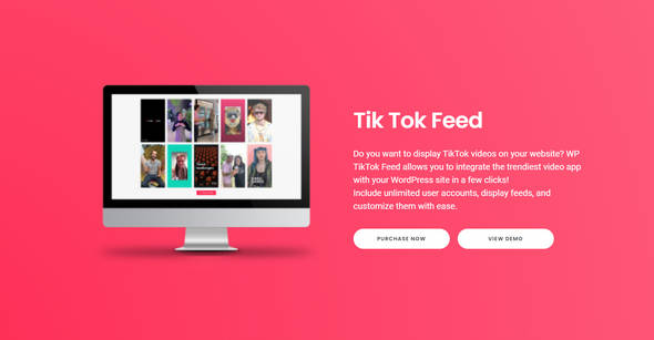 TikTok Feed Pro_TikTok短视频集成WordPress插件 TikTok Feed Pro_TikTok短视频集成WordPress插件