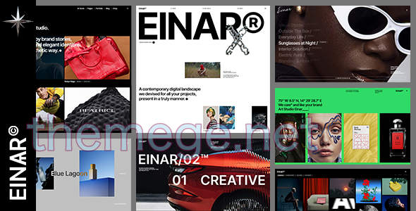 Einar破解版(v1.3)产品UI/UX设计案例网站WordPress主题 Einar破解版(v1.3)产品UI/UX设计案例网站WordPress主题