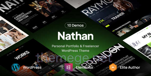 Nathan v1.0.3 | 个人简历作品集网站WordPress主题 Nathan v1.0.3 | 个人简历作品集网站WordPress主题