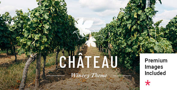 Château葡萄酒庄WordPress主题v1.2.1_红酒品牌电商模板 Château葡萄酒庄WordPress主题v1.2.1_红酒品牌电商模板