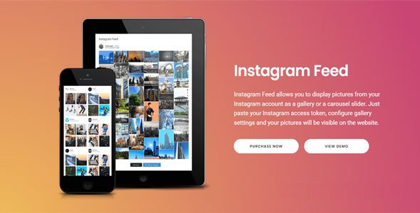 Instagram Feed Pro_WordPress图片画廊插件 Instagram Feed Pro_WordPress图片画廊插件