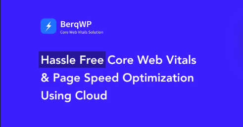 BerqWP Pro汉化版_网站速度优化与核心Web指标提升 BerqWP Pro汉化版_网站速度优化与核心Web指标提升