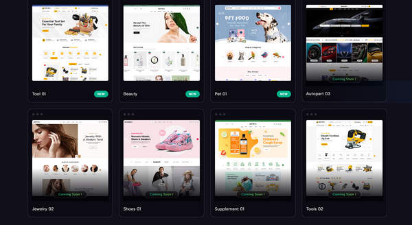 Entry v1.9.0 Shopify服装&美妆个护跨境电商主题 - 图片3