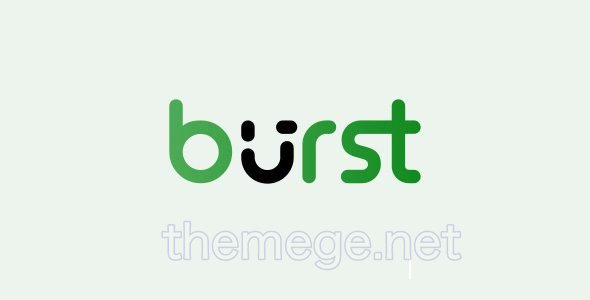 Burst Statistics Pro 3.1.6.1 轻量级WordPress流量统计插件 Burst Statistics Pro 3.1.6.1 轻量级WordPress流量统计插件