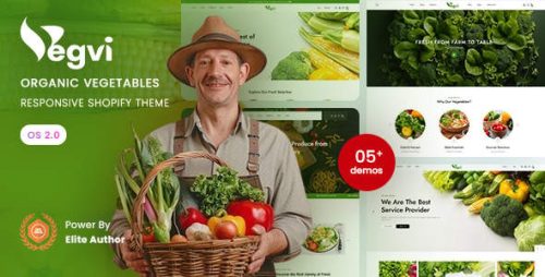 Vegvi Shopify主题 - 食品杂货超市有机生鲜电商模板 Vegvi Shopify主题 - 食品杂货超市有机生鲜电商模板