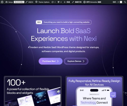 Nexi WordPress主题_IT科技企业建站模板 - 图片6