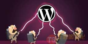用WordPress做网站不那么容易，买教程前必看系列