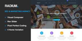 Radium主题v2.6_WordPress网站SEO服务企业主题