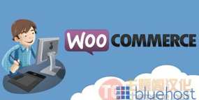 WordPress与WooCommerce集成，免费建在线商店！