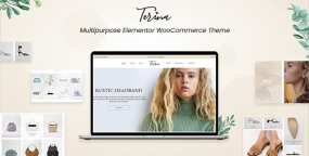WordPress主题Terina女装内衣鞋包跨境电商网站模板V1.5.0