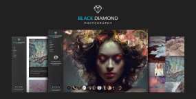 WordPress主题Diamond汉化版 v2.4.7-摄影师摄影作品集展示WordPress主题