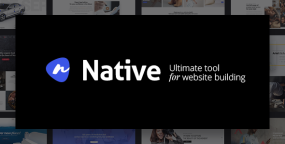 Native汉化版(v1.6.97)时尚多用途创意Wordpress企业主题