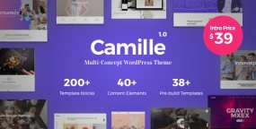 Camille(v1.9.0)创意多用途企业建站模板WordPress主题