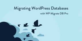 Migrate DB Pro汉化版_网站搬家插件_网站备份插件