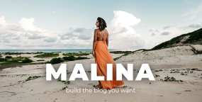 Malina简约个人自媒体博客网站WordPress主题V2.4.1版