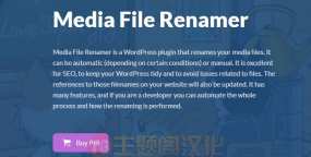 Media File Renamer Pro媒体库文件重命名WordPress插件