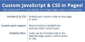 Custom JavaScript & CSS in Pages自定义页面JS和CSS的WP插件V3.7.1