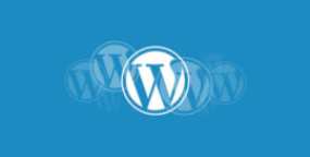 WordPress 5.7新版发布 引入函数来检查文章是否可以公开查看