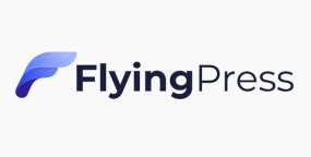 FlyingPress Pro汉化版_网站加速性能优化WordPress插件