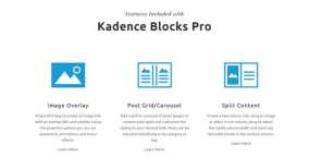Kadence Blocks Pro汉化版_WordPress古腾堡块编辑器插件