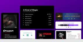 MP3 Music Player PRO汉化版_音乐播放器WordPress插件