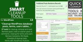 Smart Cleanup Tools网站智能清理工具WordPress插件