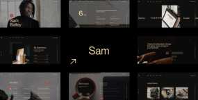 Sam Bailey(v1.1.1)个人简历名片网站WordPress主题