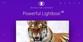 WordPress插件Lightbox汉化版 v2.1：响应式图库音频视频灯箱WP插件