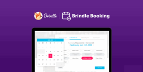 WordPress插件Brindle v1.1.6 在线服务预订预约WordPress插件