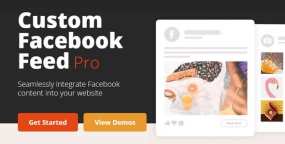 Custom Facebook Feed Pro破解版_含6款扩展组件