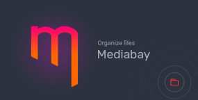 WordPress插件Mediabay汉化版 1.4.1 文件夹组织媒体库WP插件