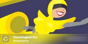 Hummingbird Pro汉化版(v3.15.1) 网站优化加速优化WordPress插件
