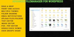 高级文件管理器WordPress插件File Manager 仿Windows窗口风格