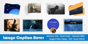 图片带悬停动画和字幕WordPress插件Image Caption Hover Pro 19.1.0