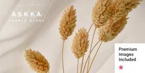 WordPress主题Askka 1.0.1 蜡烛和照明灯具外贸电商WooCommerce主题