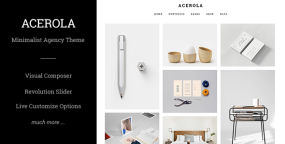 Acerola极简代理机构创意设计作品集WordPress主题V1.6.6