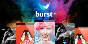 Burst汉化版摄影设计机构作品集展示WP主题V3.5.0