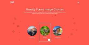 Image Choices Add-On图片选择表单字段选项GF插件V1.3.55