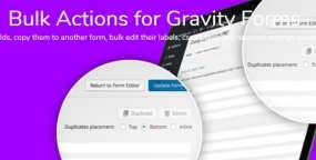 [1.3.4]Bulk Actions Add-On表单字段批量操作Gravity Forms扩展插件