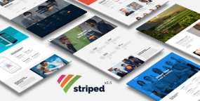 WordPress主题Striped 2.5 商业金融咨询网站WP主题