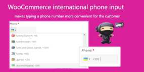 PhoneInput国际电话号码输入WooCommerce插件