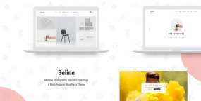 WordPress主题Seline 1.1.4 摄影设计作品集网站WP主题
