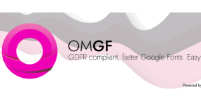 OMGF Pro破解版_本地缓存谷歌字体WordPress插件_谷歌字体优化