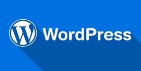 多演示数据WordPress主题如何重复或重新导入演示数据？