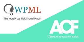 ACFML高级自定义字段多语言翻译WPML组件V2.2.3